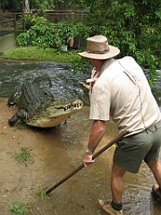 131 Cairns Tropical Zoo
